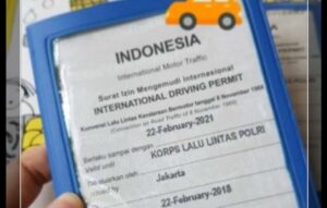 Daftar negara pengakuan SIM internasional