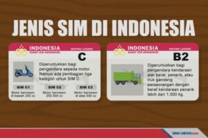 Pemilihan jenis SIM sesuai kendaraan terbaru