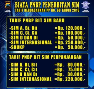 Analisis perbandingan biaya pembuatan SIM terbaru