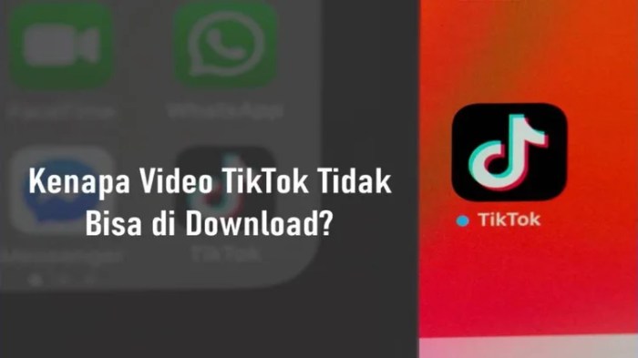 Kenapa tiktok tidak bisa di download