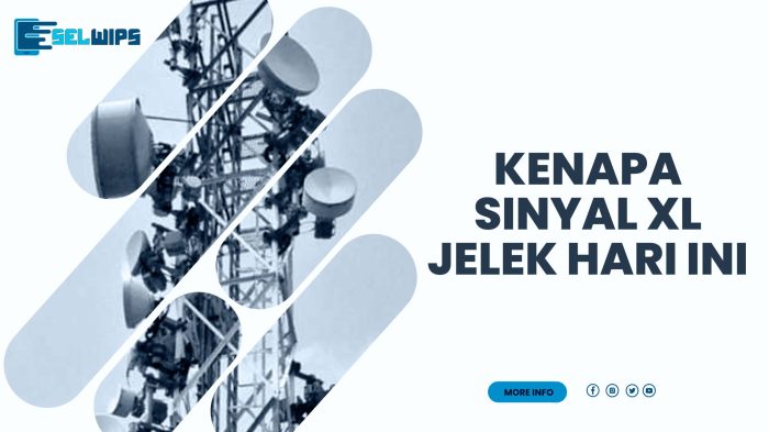 Hilang sinyal mengatasi jalantikus penyebab balasan tunggu